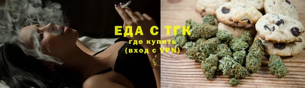 дживик Сясьстрой